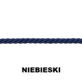 Niebieski szn.jpg
