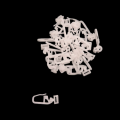 Merc1.png